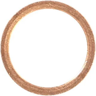 Victor Reinz Engine Oil Drain Plug Gasket - 007603016401